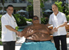 Big Celebrity Lounges In Sanya